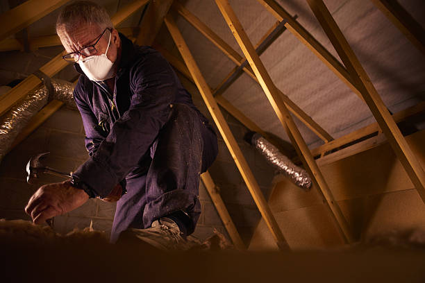 Types of Insulation We Offer in Kent, WA